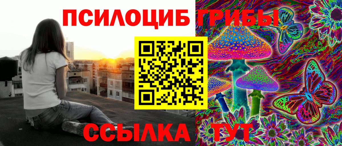 Псилоцибиновые грибы мухоморы  хочу наркоту  Бердск  Вход с VPN  Галлюциногенные грибы мицелий 